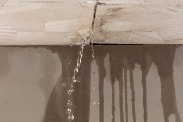 Professional Water Damage Repair technician working in Osteen, FL